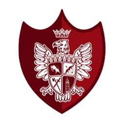 Logo Castel Transilvania Baia Mare